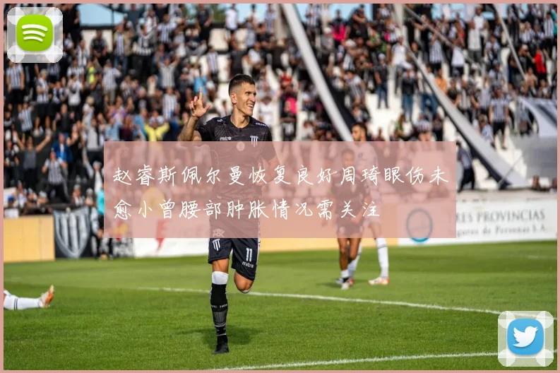 赵睿斯佩尔曼恢复良好周琦眼伤未愈小曾腰部肿胀情况需关注