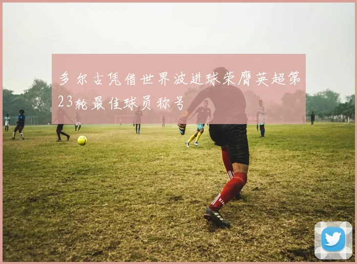 多尔古凭借世界波进球荣膺英超第23轮最佳球员称号